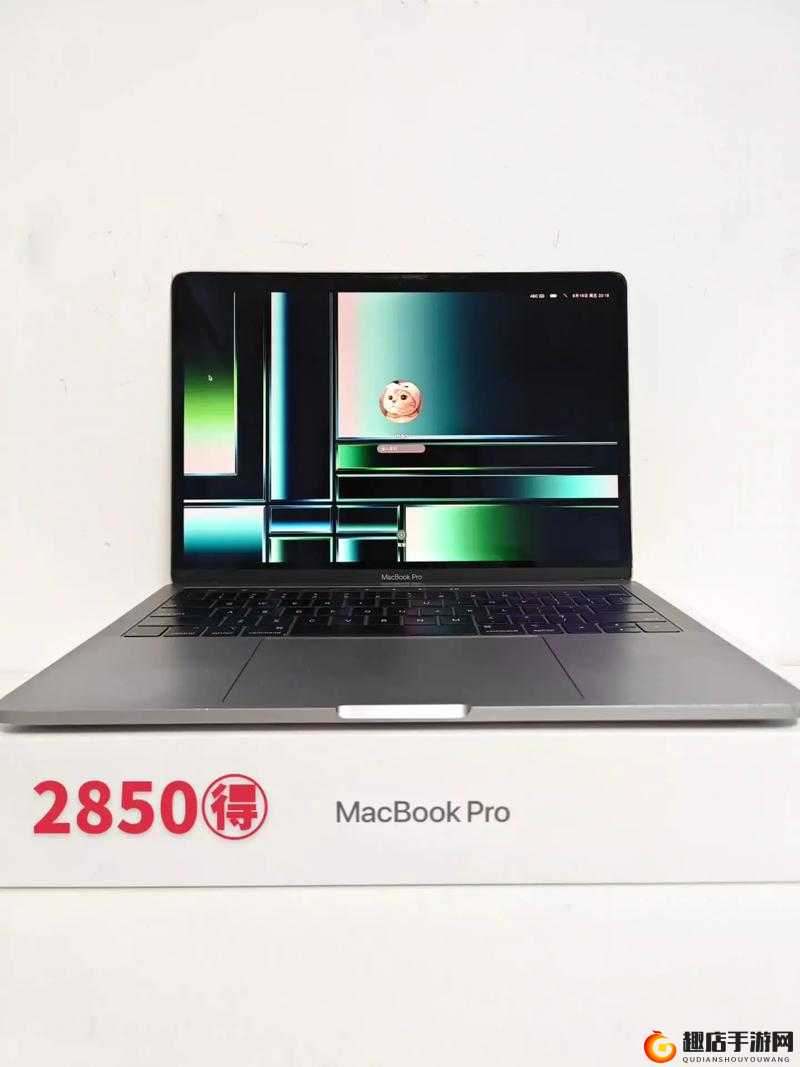 19 岁的 MacBook Pro：非凡性能与经典传承之独特魅力